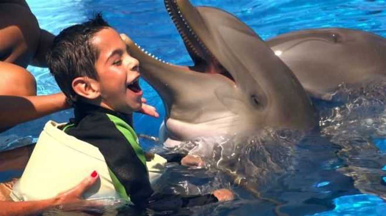 personal-del-dif-cancun-brinda-terapia-asistida-con-delfines