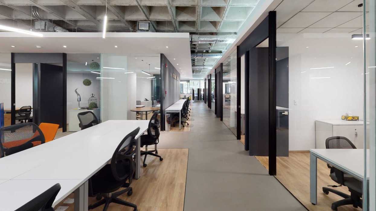 Personas trabajan en un espacio de coworking en la Ciudad de México, una alternativa flexible para empresas, freelancers y equipos híbridos.