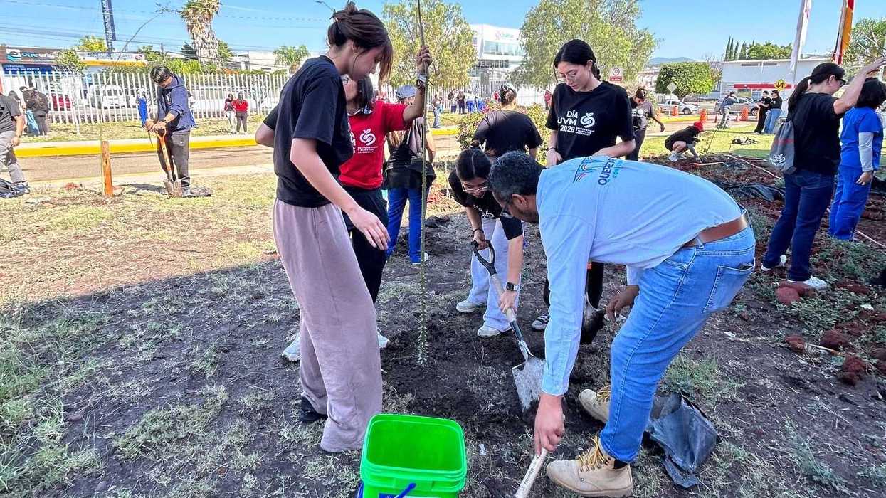 Personas voluntarias preparan el terreno para plantar árboles en un área verde urbana de Querétaro.