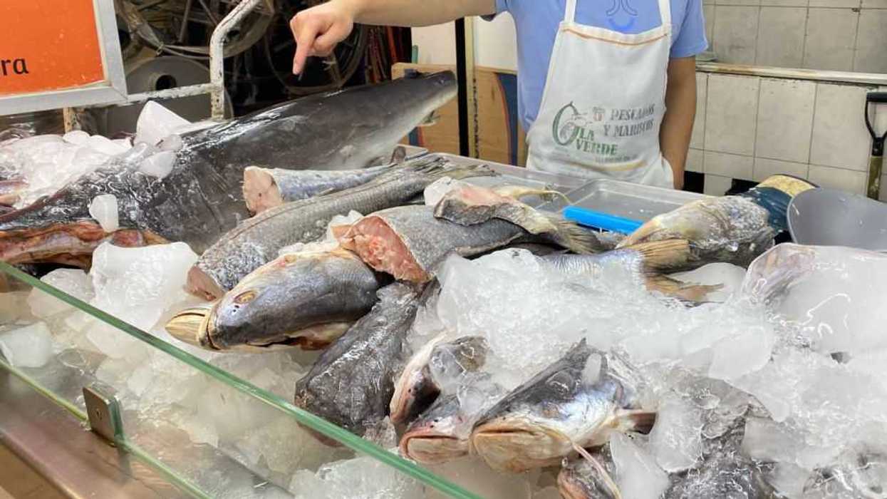Pescaderías esperan repunte del 20% en ventas por inicio de Cuaresma.