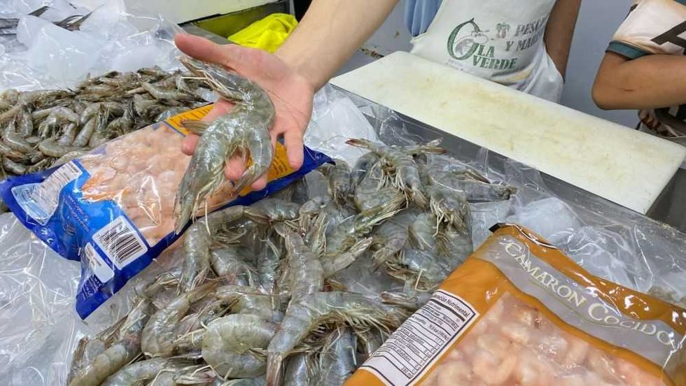 Pescaderías esperan repunte del 20% en ventas por inicio de Cuaresma.