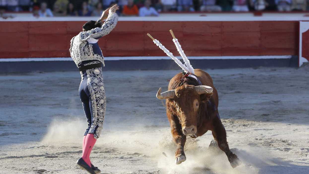 Plaza de toros del Centro Expositor de San Juan del Río preparada para un festejo taurino.