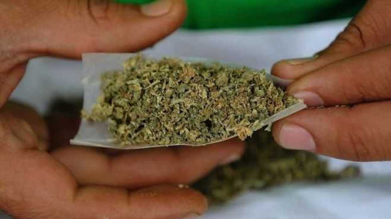 policia-federal-asegura-693-kilos-de-marihuana-en-campeche