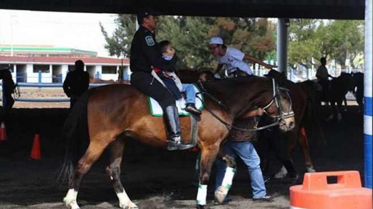 policia-montada-capitalina-apoya-la-ciudadania-equinoterapias