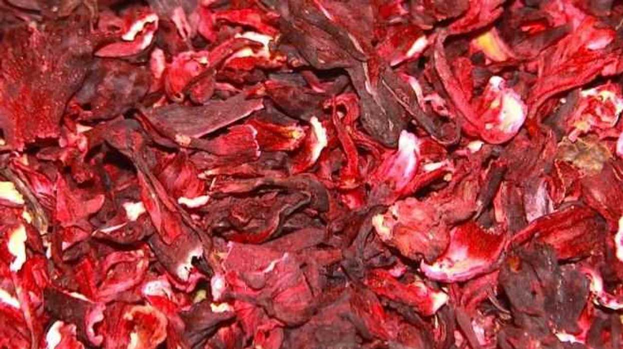 politecnicos-elaboran-gelatina-jamaica-diabeticos