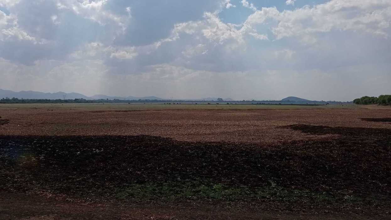 Presas de San Juan del Río, Pedro Escobedo y Tequisquiapan al 5%: CONAGUA.