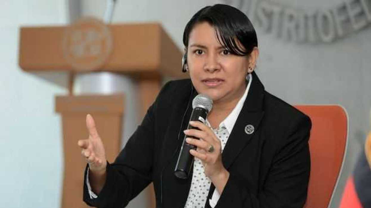 Presidenta de la Comisión de Derechos Humanos del Distrito Federal (CDHDF), Perla Gómez Gallardo. NOTIMEX