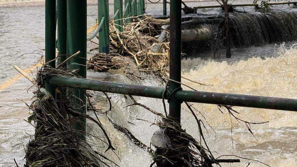 Presidente municipal Roberto Cabrera Valencia supervisa remoción de tronco de 80 centímetros en puente histórico de San Juan del Río.