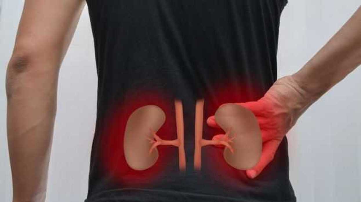 prevencion-principal-factor-para-evitar-enfermedades-renales-2