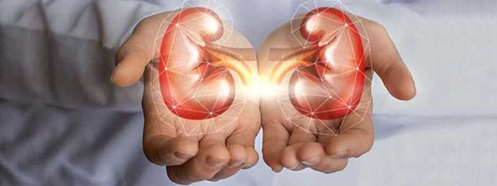 prevencion principal factor para evitar enfermedades renales 3