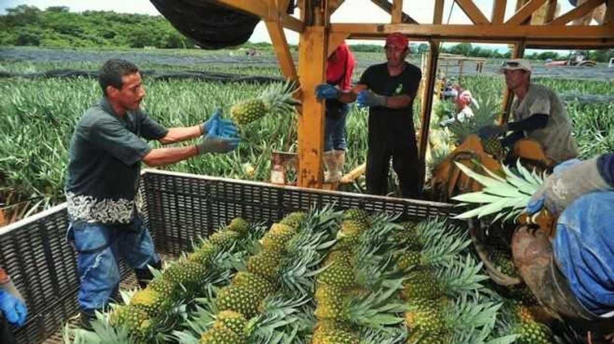 produccion-de-alimentos-debe-cambiar-para-salvar-biodiversidad