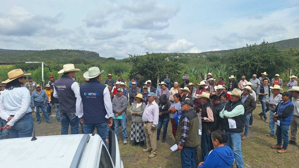 Productores del semidesierto de Quer\u00e9taro participan en la entrega de semilla para cultivos forrajeros.