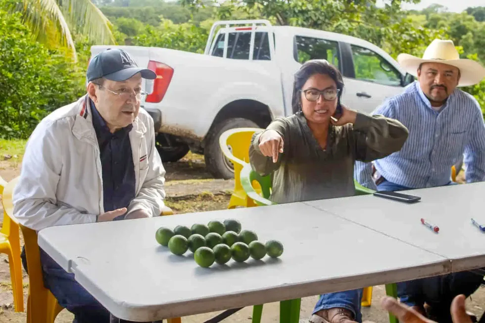 Productores participan en una reuni\u00f3n alrededor de mesas con limones