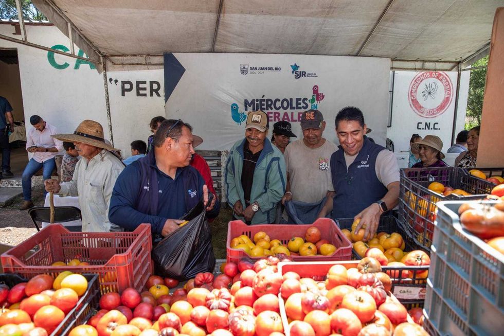Productores y vecinos de Perales reciben jitomate durante distribuci\u00f3n de la Secretar\u00eda de Desarrollo Social en jornada comunitaria de San Juan del R\u00edo