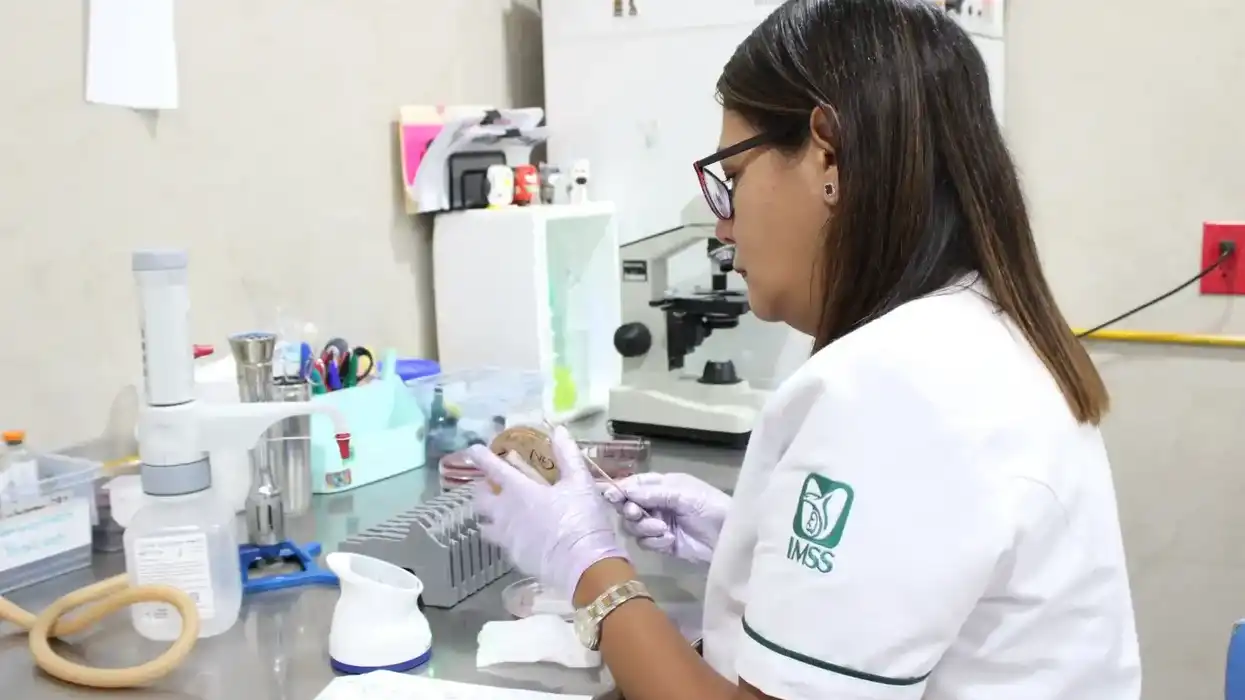 Profesional del laboratorio del HGR No. 1 del IMSS en Querétaro trabaja con placas de agar sangre durante el proceso de diagnóstico microbiológico