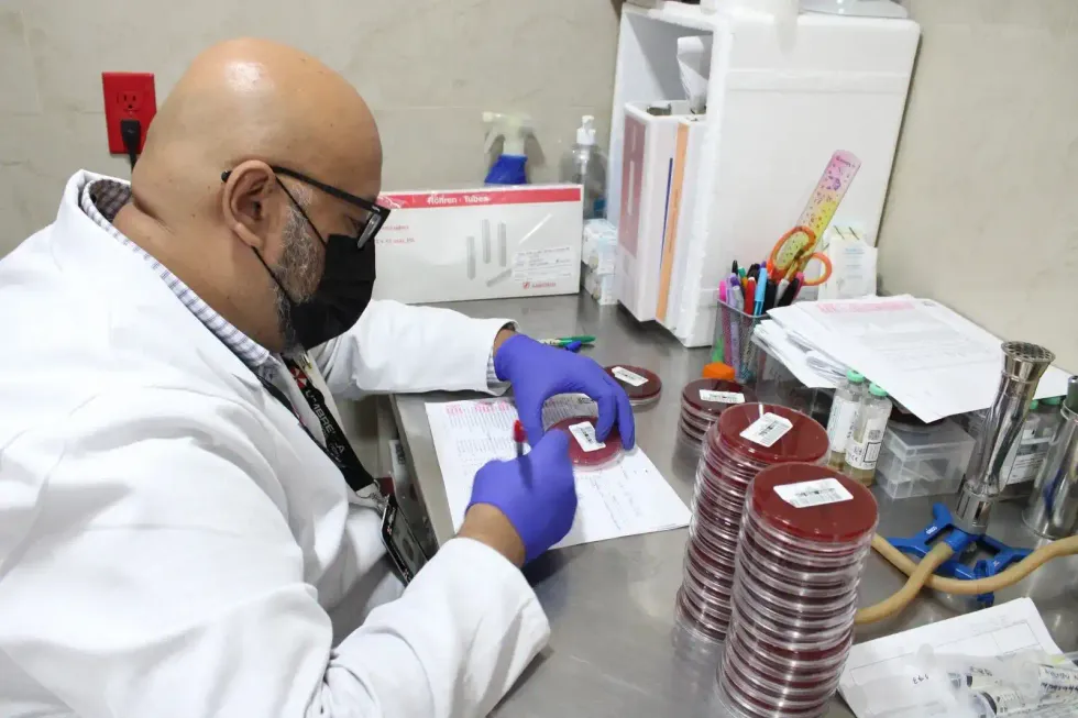 Profesional del laboratorio del IMSS en Quer\u00e9taro trabaja con una placa de cultivo microbiol\u00f3gico con microscopio al fondo
