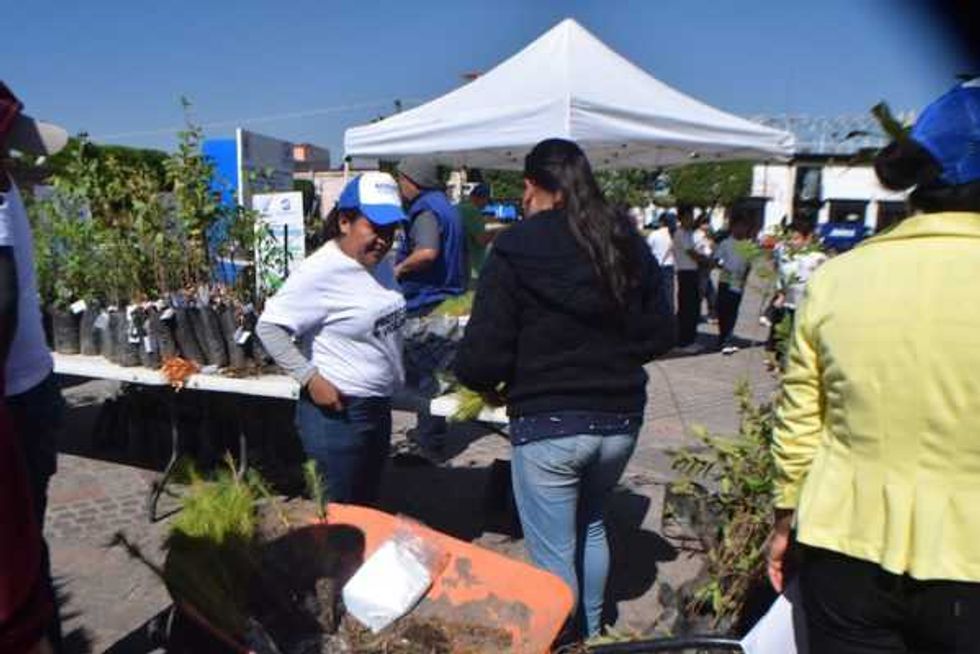 programa adopta un arbol 1