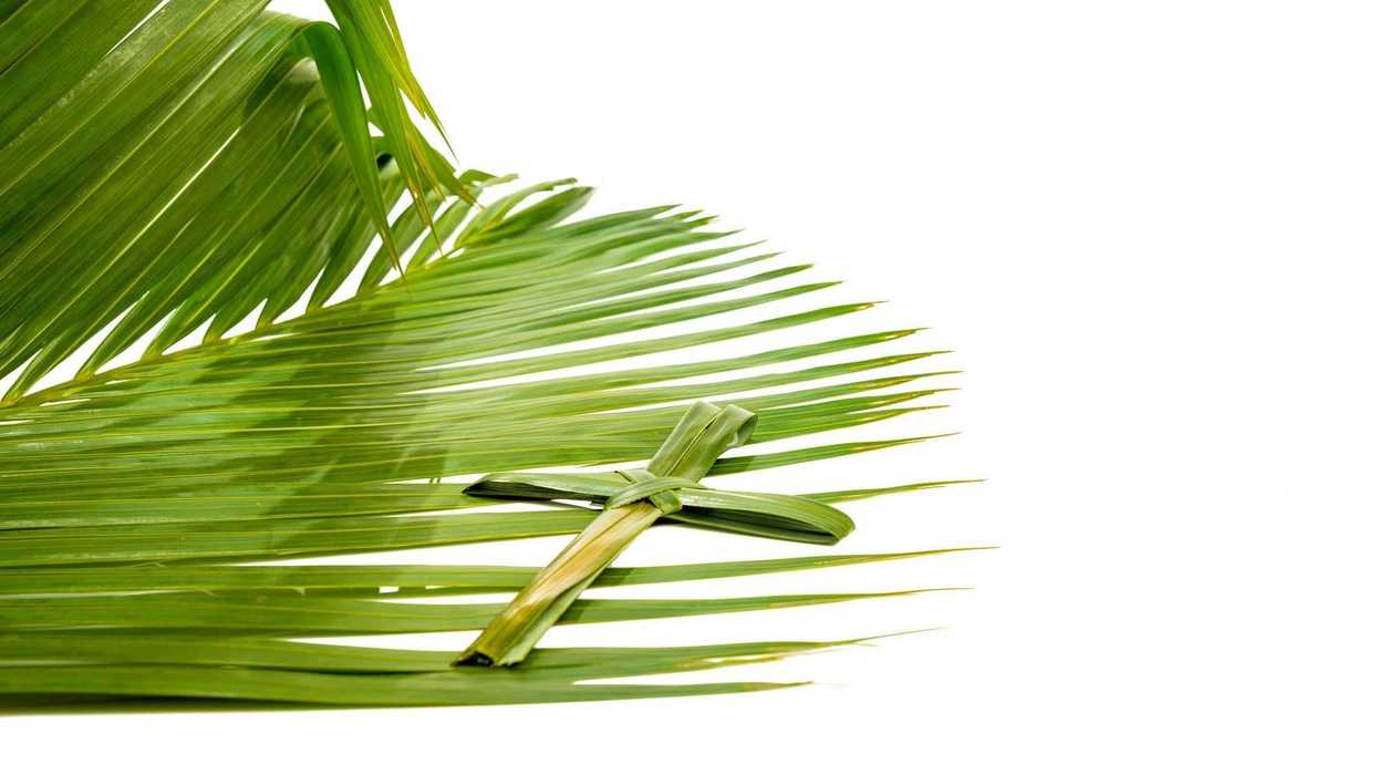 Programa de Semana Santa 2024 en Santa María Magdalena. Depositphotos.