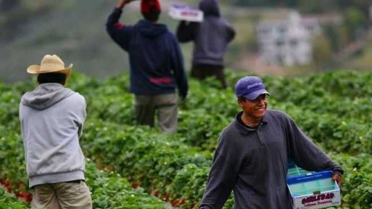 programa-de-trabajadores-agricolas-temporales-mexico-canada-beneficia-queretanos