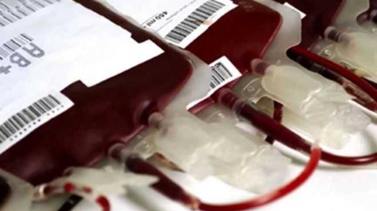 promueven-en-jalisco-donacion-sangre-damnificados