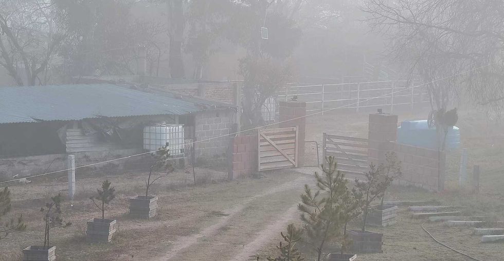 Pron\u00f3stico del clima con heladas y fr\u00edo intenso en San Juan del R\u00edo y Quer\u00e9taro por frente fr\u00edo 37, febrero 2026