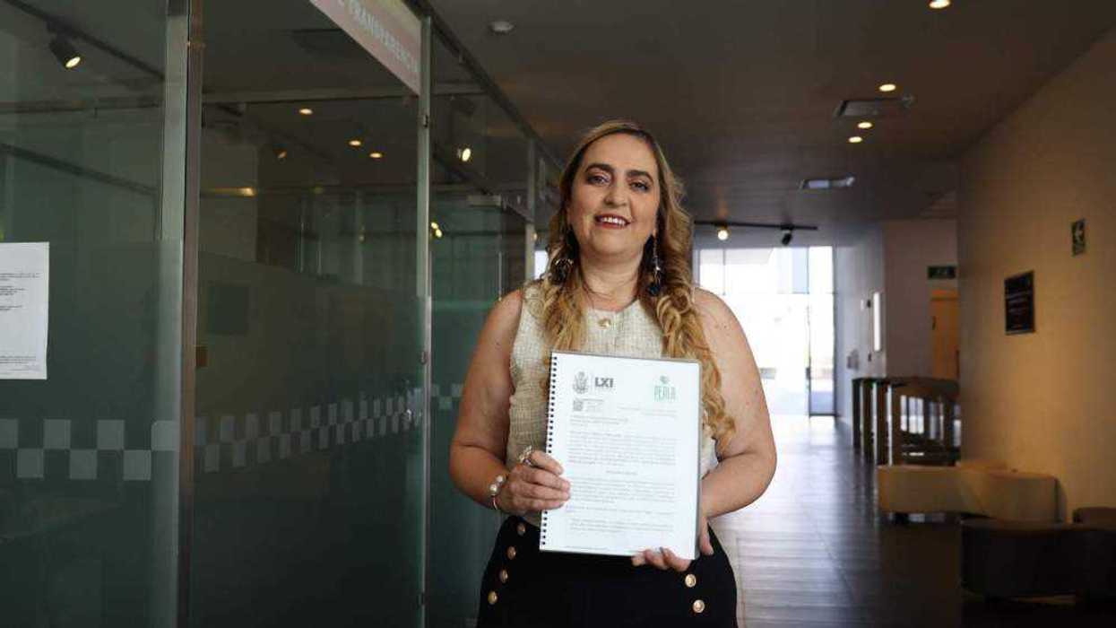 Proponen reformar Código Ambiental para permitir solo corridas de toros sin violencia.