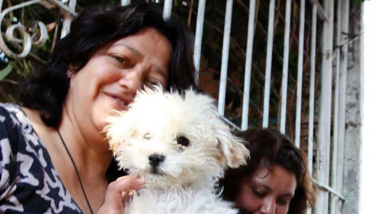 Protectora de animales exhorta adoptar mascotas.