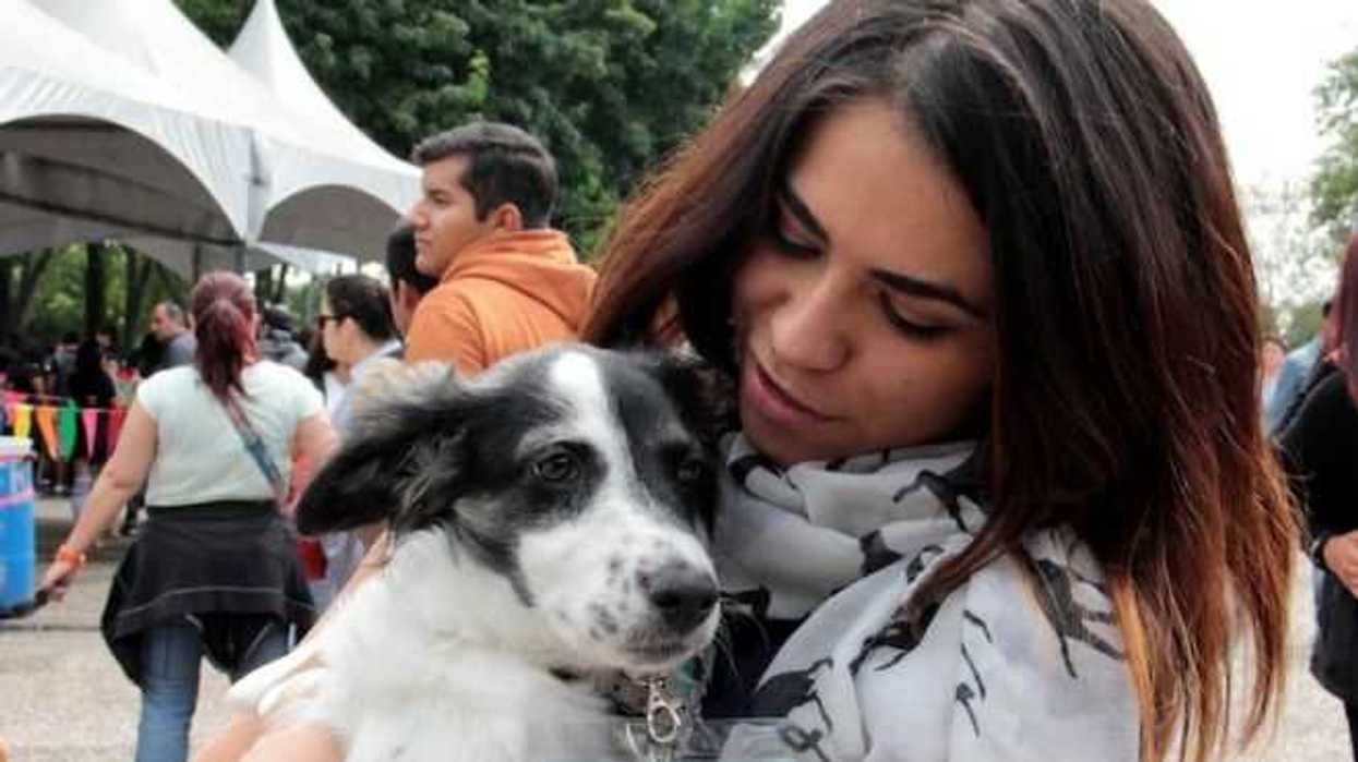 Protege a tus animales de compañía en caso de un sismo. FOTO/NOTIMEX