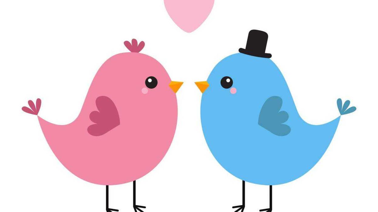 Prueba del pajarito predice con 86% de precisión si una relación durará.