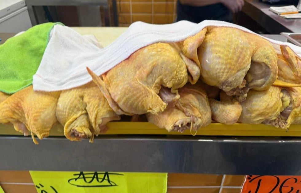 Puesto de mariscos en mercado local de Quer\u00e9taro con exhibici\u00f3n de productos frescos y lista de precios durante la temporada de Cuaresma 2026, donde la venta de mariscos en Quer\u00e9taro registra repunte.