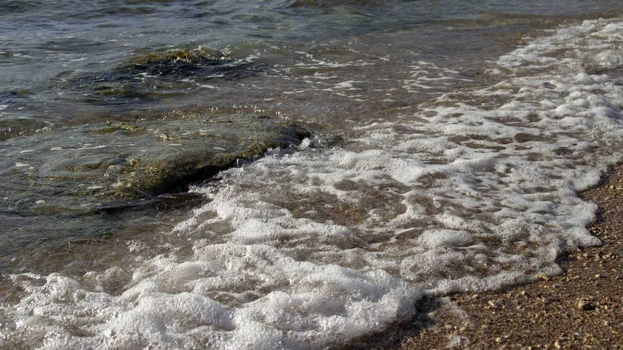 Qué playas visitar y cuáles evitar altos niveles de bacterias.