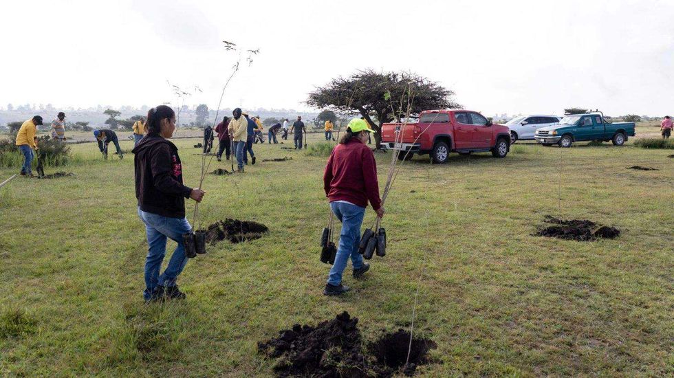 Querétaro dona 15 mil árboles para reforestación en San Juan del Río.