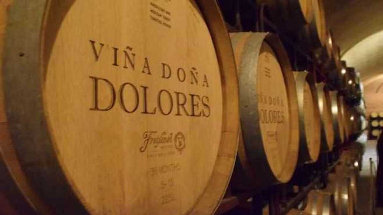 queretaro-vino-jazz-ninos-con.cancer