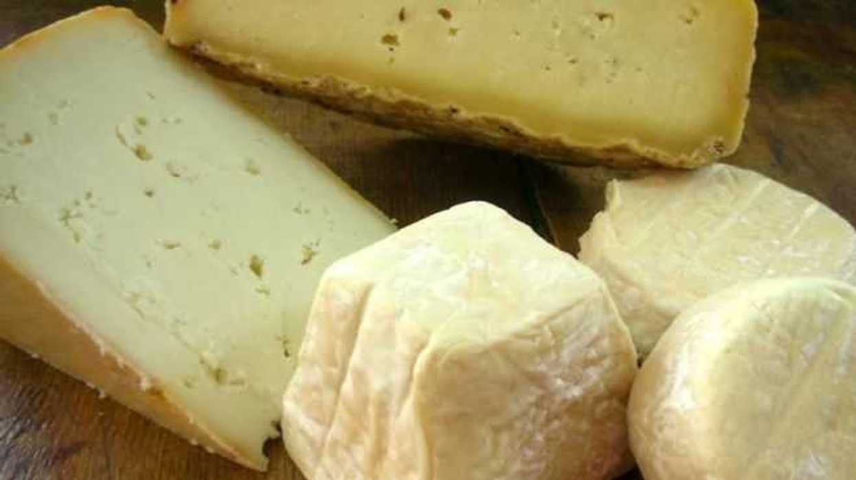 queso-morelense-premiado-1