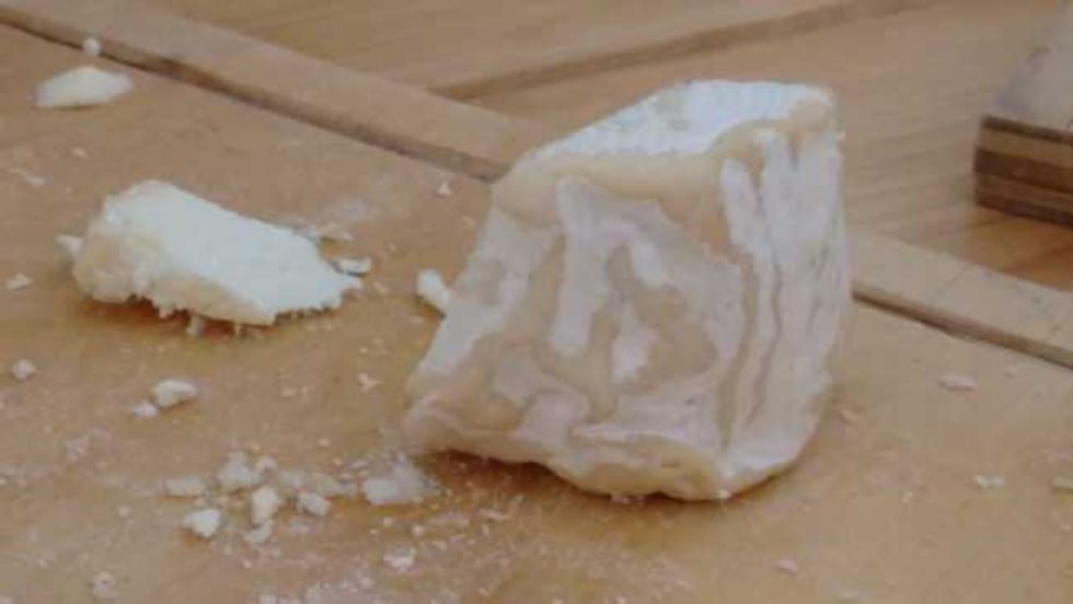 quesos tequisquiapan queretaro se comercializan en dubai