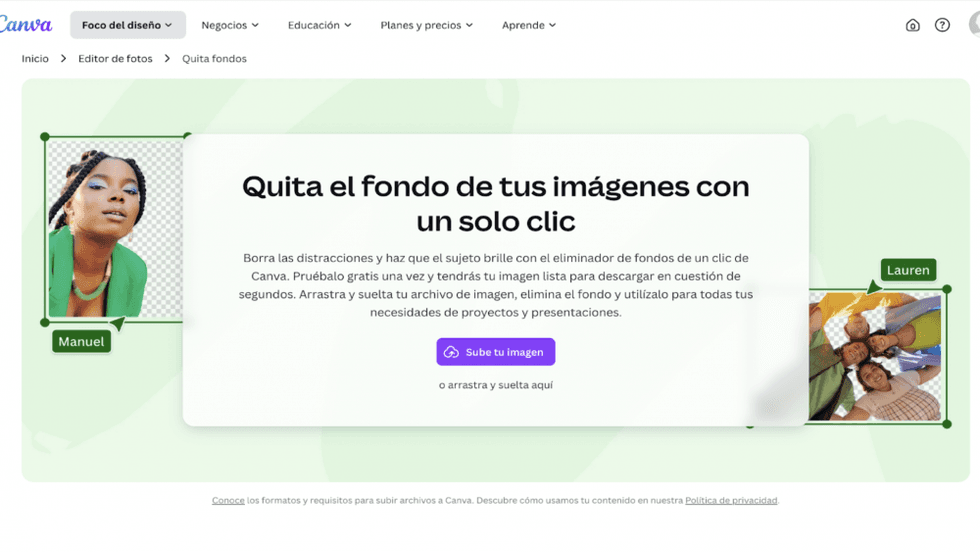 Quitafondos IA de Canva. Canva.