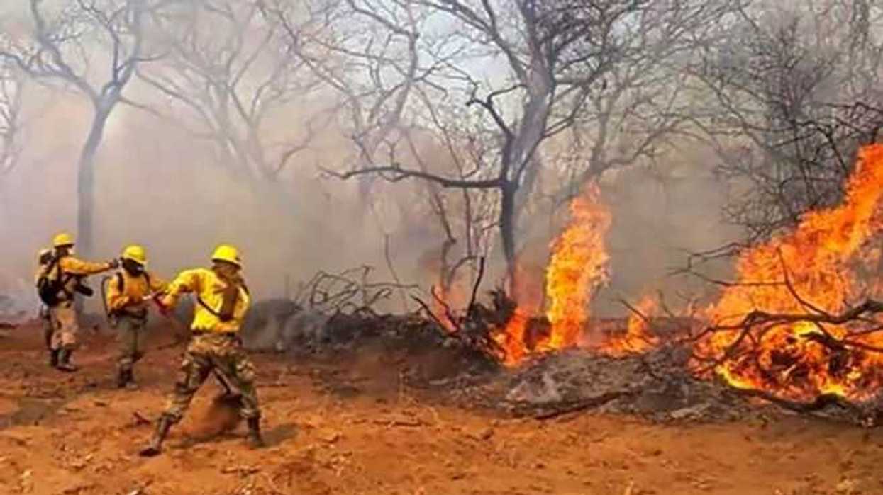 reactivacion-de-incendios-en-bolivia-arrasa-con-un-millon-de-hectareas