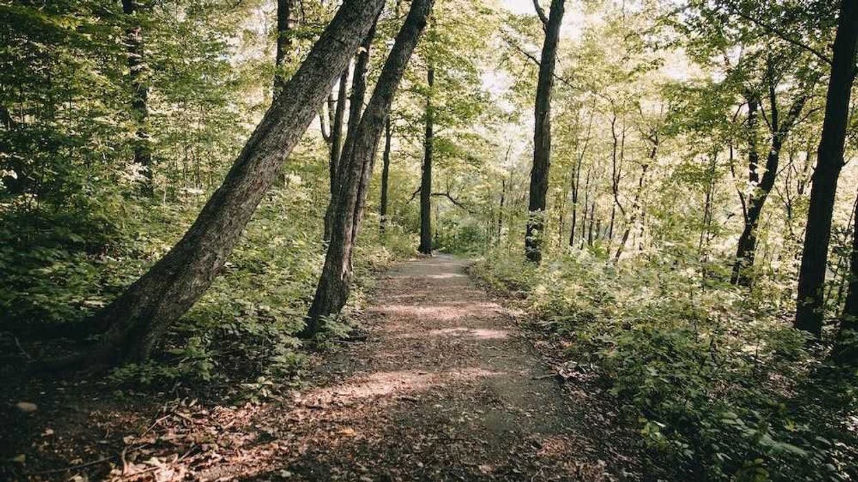 ready-for-trail-jamshed-khedri-qAzeuk4nc-4-unsplash