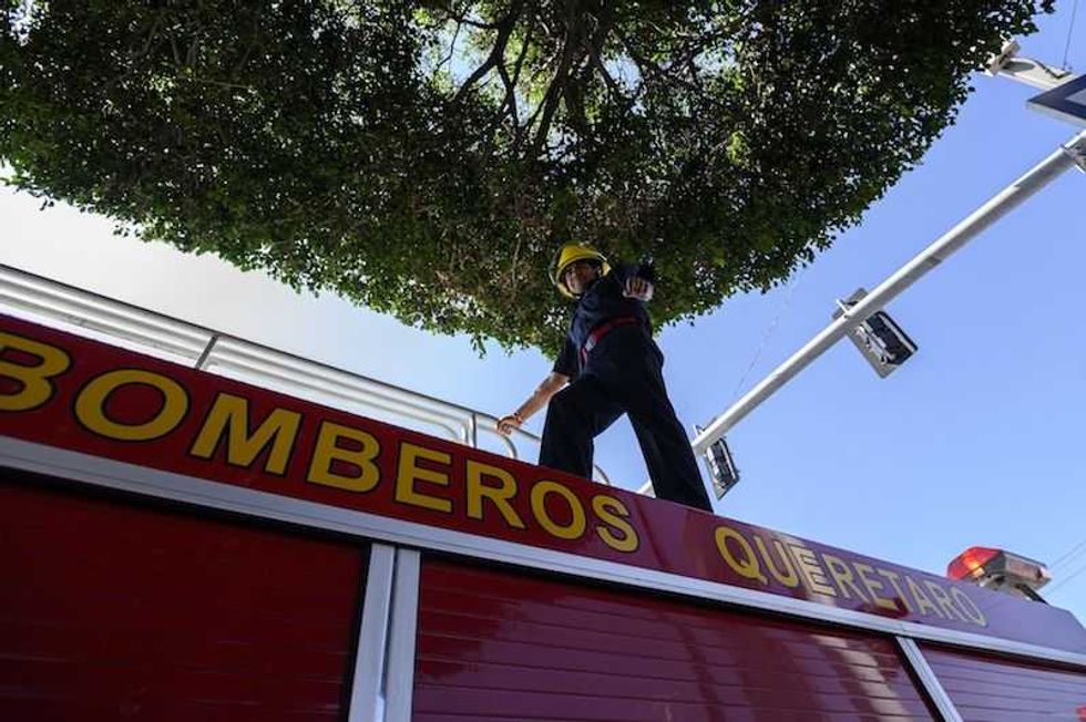 realizan en queretaro desfile civico militar por independencia de mexico 5