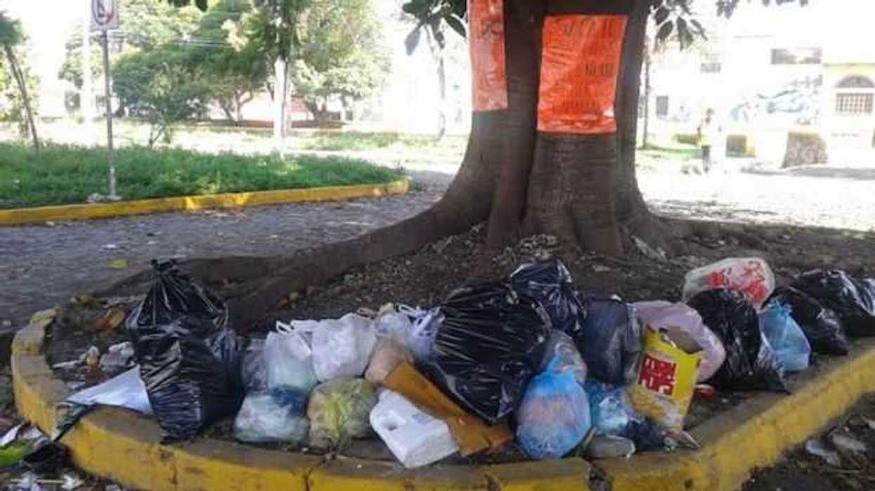 recoleccion-de-basura-en-queretari-02