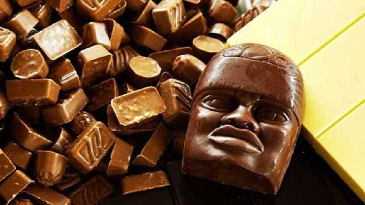 recorridos-catas-en-viii-festival-del-chocolate-en-tabasco