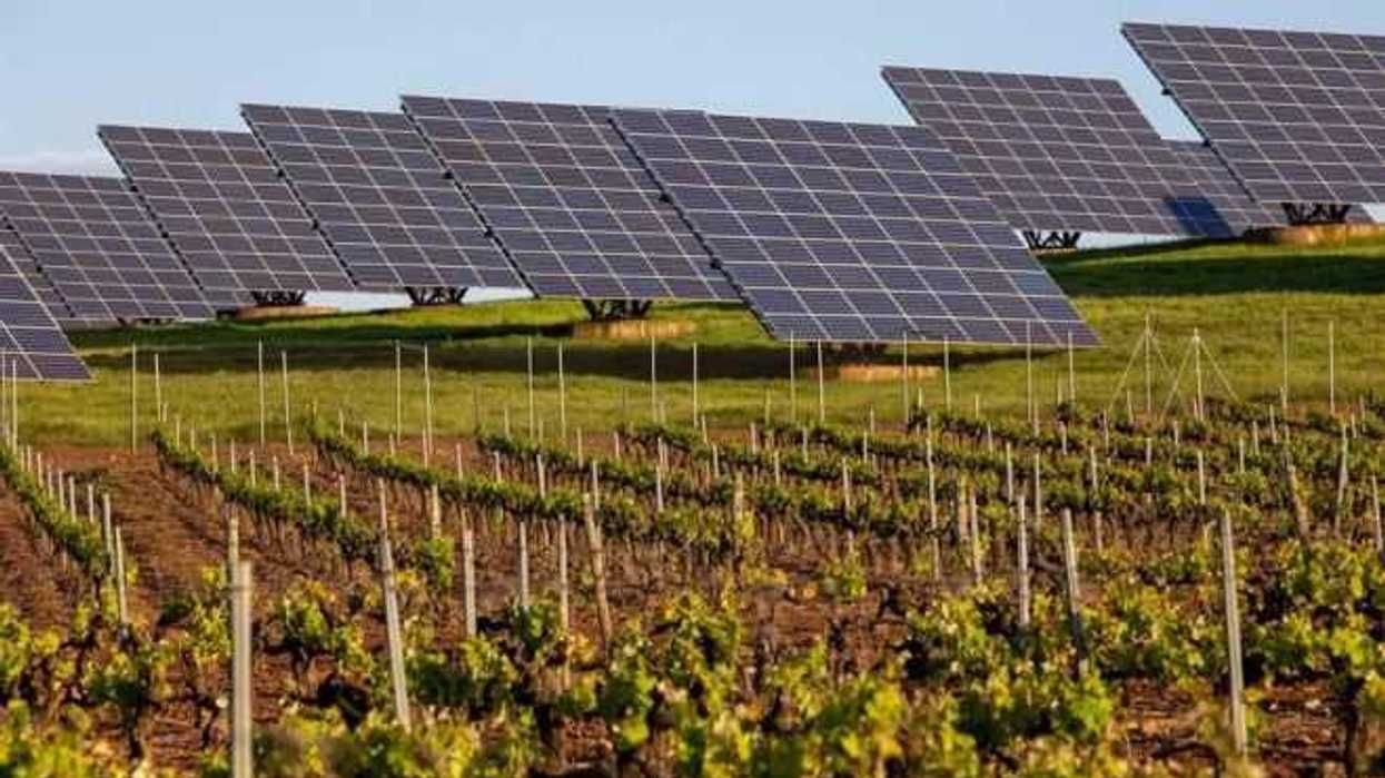 recursos-naturales-efe