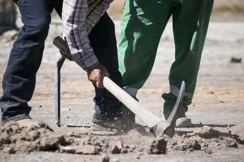 Reforestación en día mundial del medio ambiente