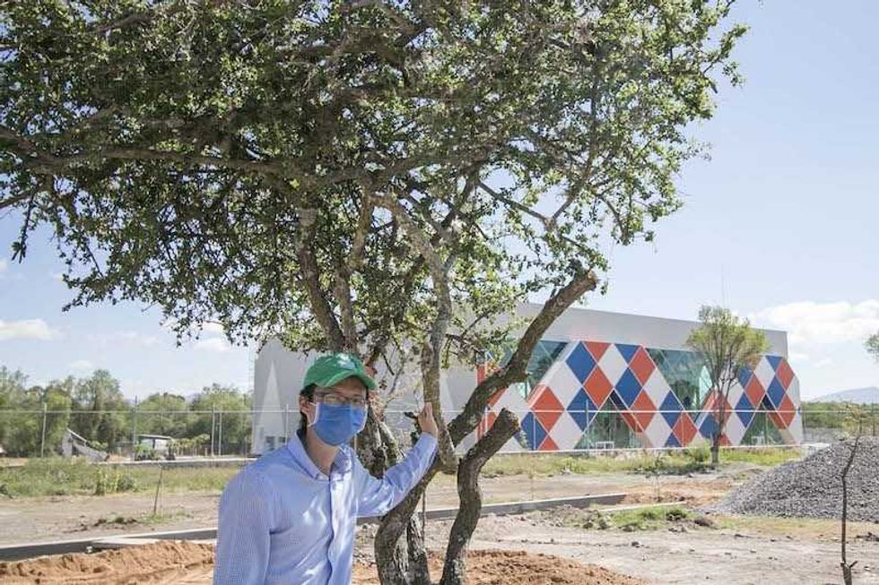 Reforestación en día mundial del medio ambiente