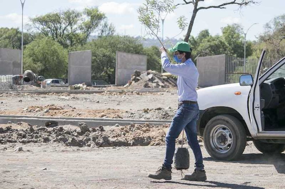 Reforestación en día mundial del medio ambiente