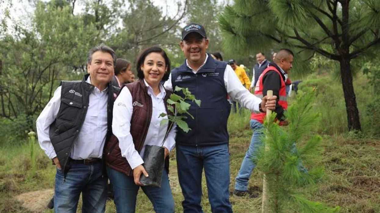 Reforestan más de 3 mil árboles en parque en Amealco.