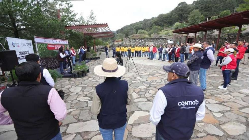 Reforestan más de 3 mil árboles en parque en Amealco.