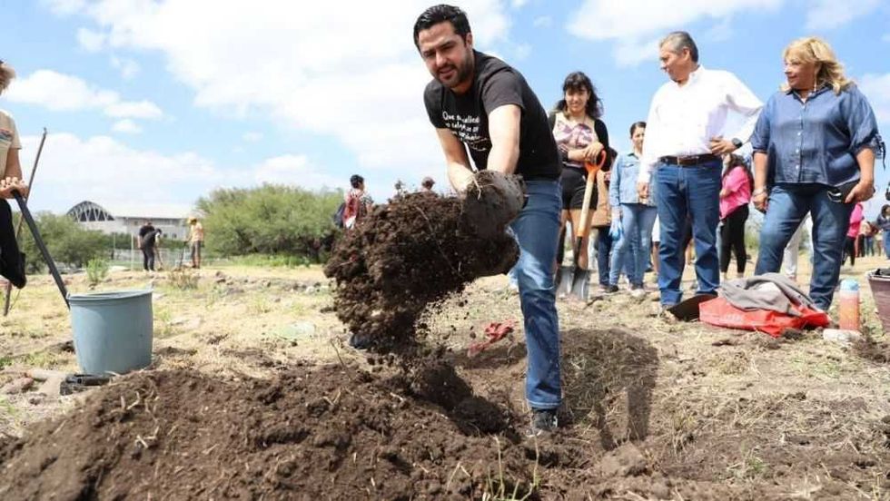 Reforestan más de 60 árboles en la UTEQ.