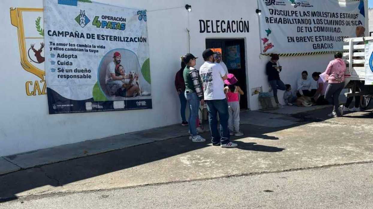Refuerzan campañas de vacunación y esterilización en San Juan del Río.