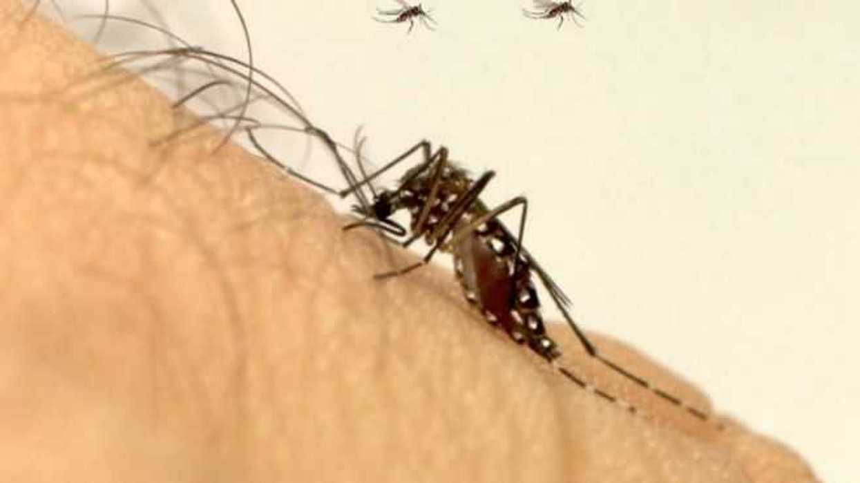 refuerzan-medidas-preventivas-para-evitar-dengue-zika-y-chikungunya